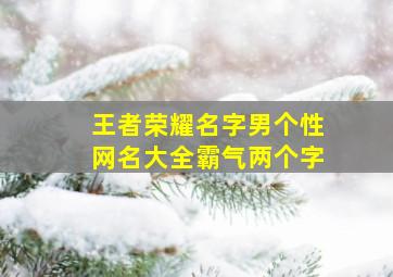 王者荣耀名字男个性网名大全霸气两个字