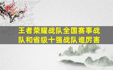 王者荣耀战队全国赛事战队和省级十强战队谁厉害