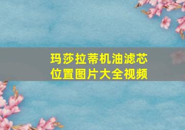 玛莎拉蒂机油滤芯位置图片大全视频