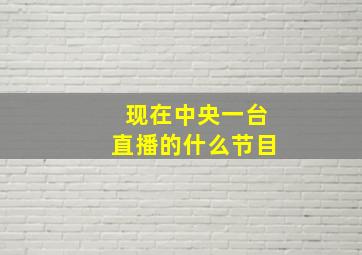 现在中央一台直播的什么节目