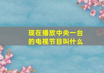 现在播放中央一台的电视节目叫什么