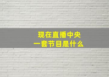 现在直播中央一套节目是什么