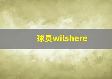 球员wilshere