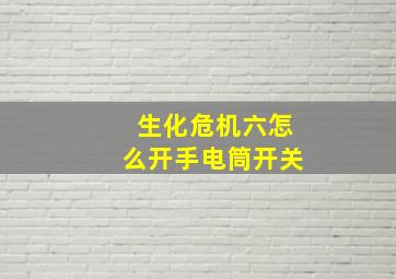 生化危机六怎么开手电筒开关