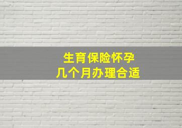 生育保险怀孕几个月办理合适