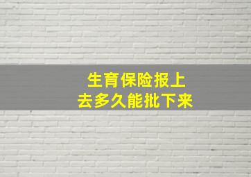 生育保险报上去多久能批下来