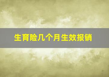 生育险几个月生效报销