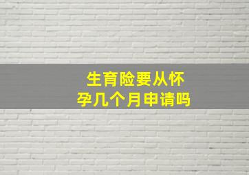 生育险要从怀孕几个月申请吗