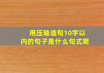 用压轴造句10字以内的句子是什么句式呢