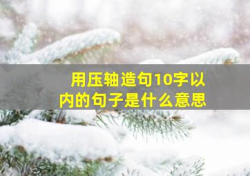 用压轴造句10字以内的句子是什么意思