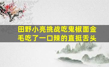 田野小亮挑战吃鬼椒面金毛吃了一口辣的直挺舌头