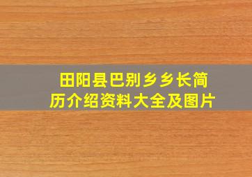 田阳县巴别乡乡长简历介绍资料大全及图片