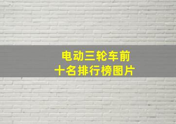 电动三轮车前十名排行榜图片