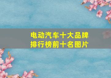 电动汽车十大品牌排行榜前十名图片