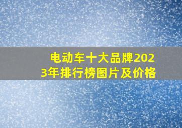 电动车十大品牌2023年排行榜图片及价格