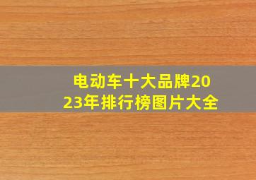 电动车十大品牌2023年排行榜图片大全