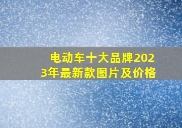 电动车十大品牌2023年最新款图片及价格