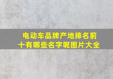 电动车品牌产地排名前十有哪些名字呢图片大全