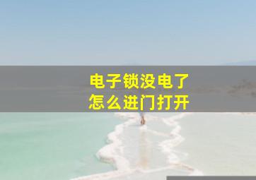 电子锁没电了怎么进门打开