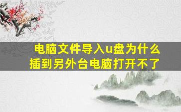 电脑文件导入u盘为什么插到另外台电脑打开不了