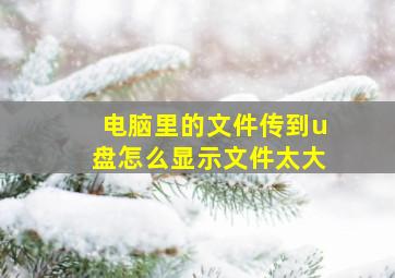 电脑里的文件传到u盘怎么显示文件太大