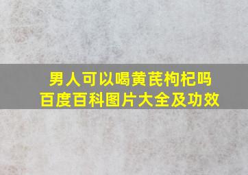 男人可以喝黄芪枸杞吗百度百科图片大全及功效