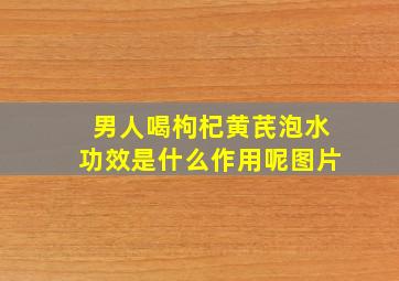 男人喝枸杞黄芪泡水功效是什么作用呢图片