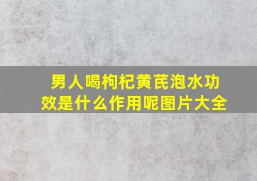 男人喝枸杞黄芪泡水功效是什么作用呢图片大全