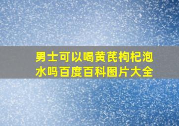 男士可以喝黄芪枸杞泡水吗百度百科图片大全