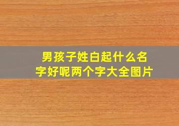 男孩子姓白起什么名字好呢两个字大全图片