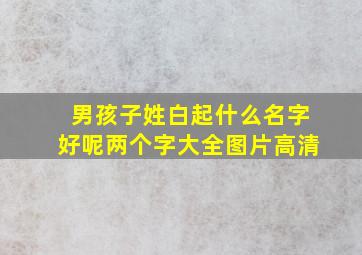 男孩子姓白起什么名字好呢两个字大全图片高清