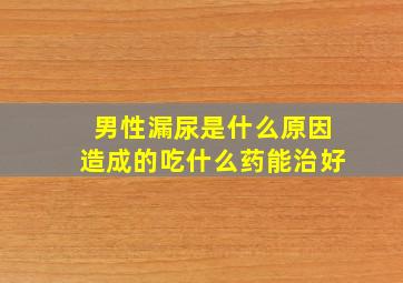 男性漏尿是什么原因造成的吃什么药能治好