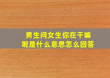 男生问女生你在干嘛呢是什么意思怎么回答