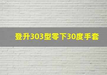 登升303型零下30度手套