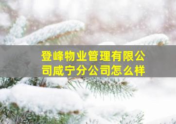 登峰物业管理有限公司咸宁分公司怎么样