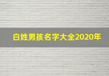 白姓男孩名字大全2020年