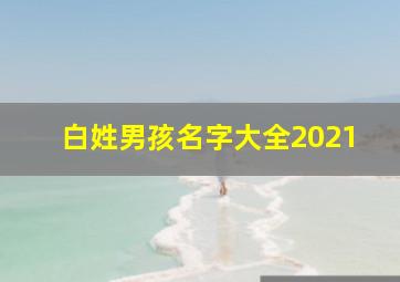 白姓男孩名字大全2021