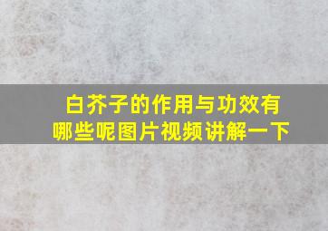 白芥子的作用与功效有哪些呢图片视频讲解一下