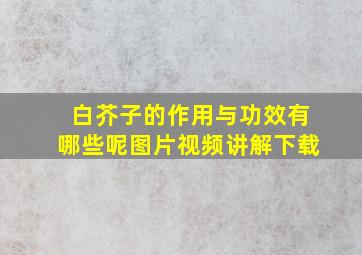 白芥子的作用与功效有哪些呢图片视频讲解下载