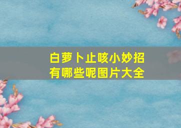 白萝卜止咳小妙招有哪些呢图片大全