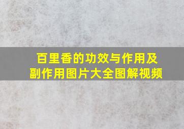 百里香的功效与作用及副作用图片大全图解视频