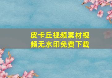 皮卡丘视频素材视频无水印免费下载