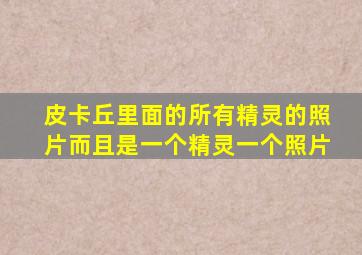 皮卡丘里面的所有精灵的照片而且是一个精灵一个照片