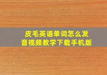 皮毛英语单词怎么发音视频教学下载手机版