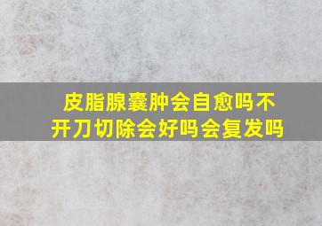 皮脂腺囊肿会自愈吗不开刀切除会好吗会复发吗