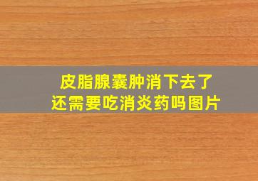 皮脂腺囊肿消下去了还需要吃消炎药吗图片