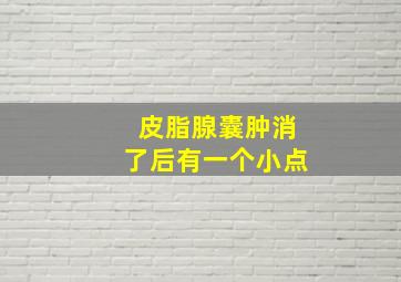 皮脂腺囊肿消了后有一个小点