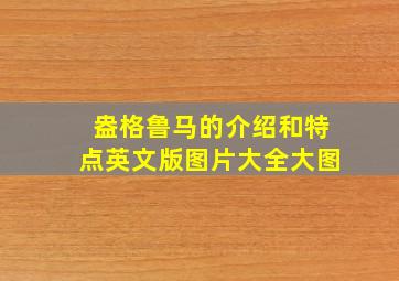 盎格鲁马的介绍和特点英文版图片大全大图