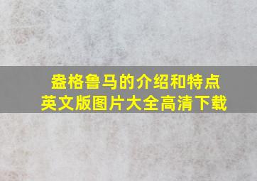 盎格鲁马的介绍和特点英文版图片大全高清下载