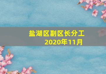 盐湖区副区长分工2020年11月